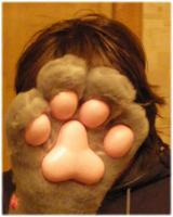 Присоединённое изображение